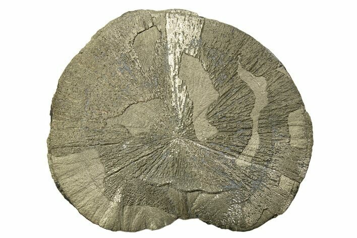 Large, Pyrite Sun - Sparta, Illinois #315840